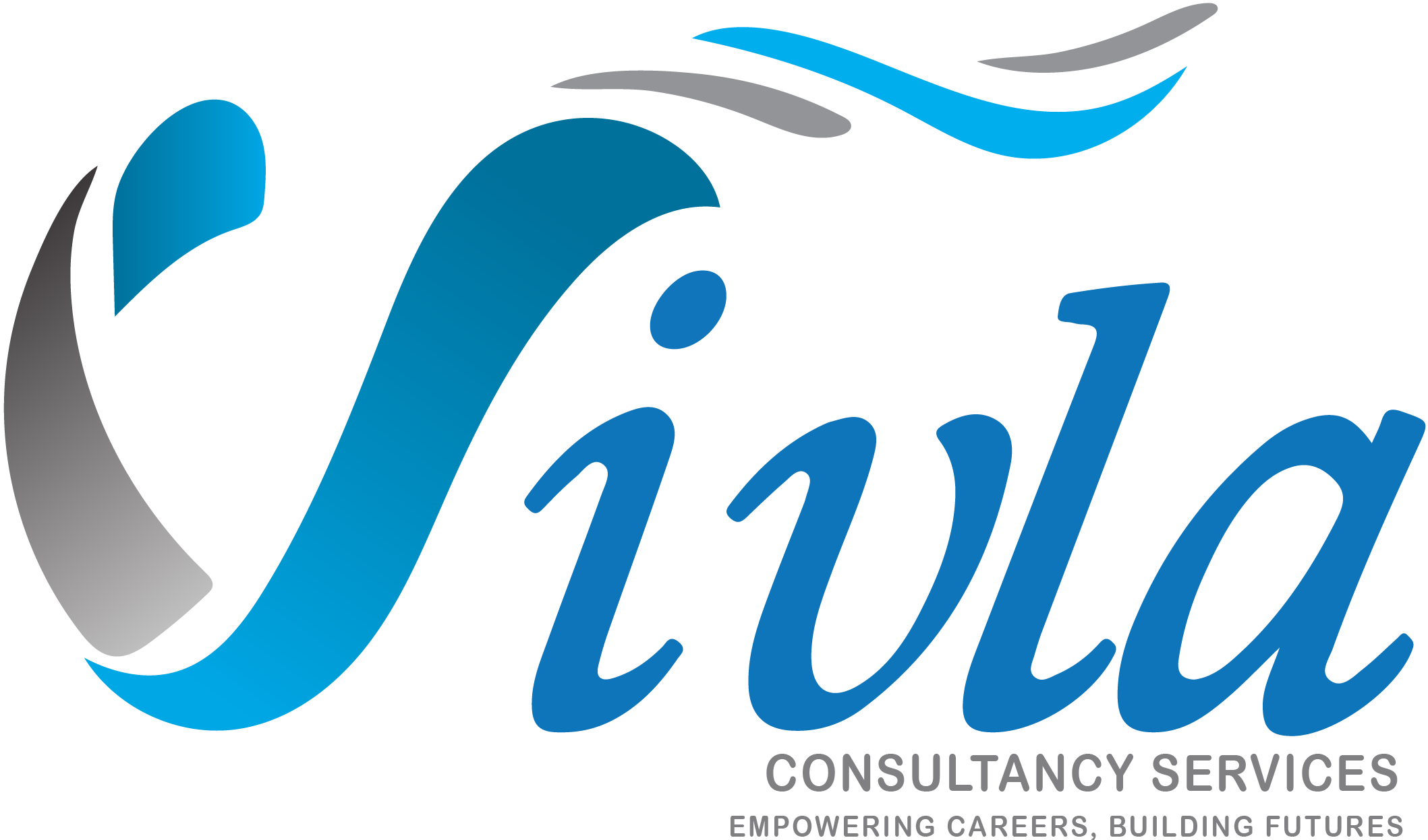 Vivla Consultancy Services